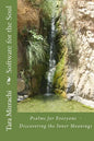Software for the Soul: Psalms for Everyone - Discovering the Inner meanings - Paperback