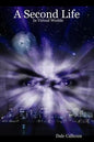 A Second Life In Virtual Worlds - Paperback