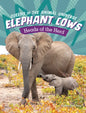 Elephant Cows: Heads of the Herd - Hardcover