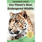 Our Planet's Most Endangered Wildlife - Hardcover