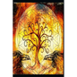 Paradigms of Meditation - Paperback