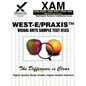 West-E/Praxis II Visual Arts Sample Test 0133 - Paperback