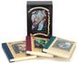 A Series of Unfortunate Events Box: The Trouble Begins (Books 1-3) - Boxed Set