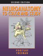 Neuroanatomy to Color and Study - Paperback