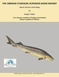 The Siberian Sturgeon Acipenser Baerii Brandt: Species Structure and Ecology - Paperback