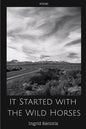 It Started with the Wild Horses - Paperback
