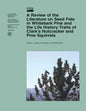 A Review of the Literature on Seed Fate in Whitebark Pine and the Life History Traits of Clark's Nutcracker and Pine Squirrels - Paperback