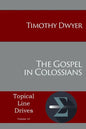 The Gospel in Colossians - Paperback