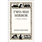 Two-Way Mirror: A Poetry Notebook - Hardcover