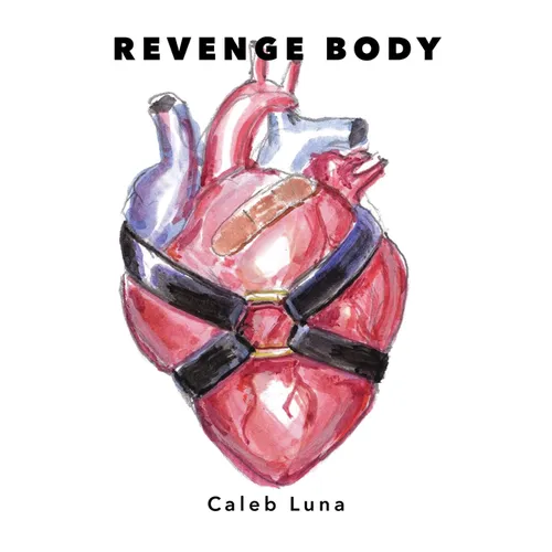 Revenge Body - Paperback