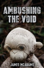 Ambushing the Void - Paperback