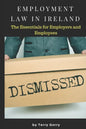 Employment Law In Ireland: The Essentials for Employers, Employees and HR Managers - Paperback