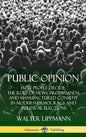 Public Opinion: How People Decide; The Role of News, Propaganda and Manufactured Consent in Modern Democracy and Political Elections (Hardcover) - Hardcover