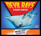Devil Rays: Dynamic Dancers: Dynamic Dancers - Library Binding