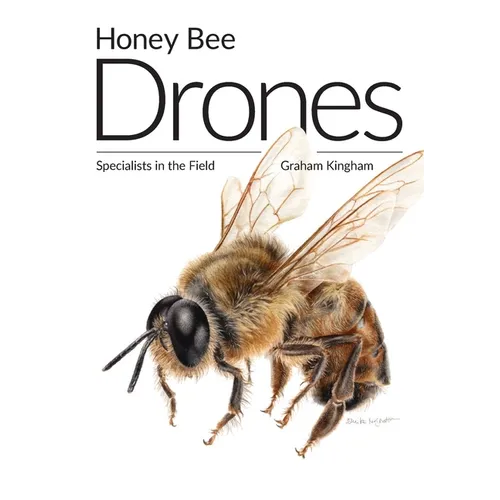 Honey Bee Drones: Specialists in the Field - Paperback