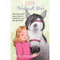Lily Makes A Way - Paperback