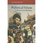 Political Islam: Context Versus Ideology - Paperback