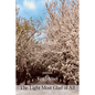 The Light Most Glad of All - Paperback