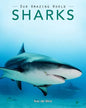 Sharks: Amazing Pictures & Fun Facts on Animals in Nature - Paperback