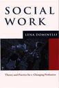 Social Work: Theory and Practice for a Changing Profession - Paperback