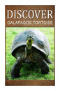 Galapagos Tortoise - Discover: Early reader's wildlife photography book - Paperback