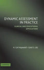 Dynamic Assessment in Practice - Hardcover