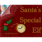Santa's Special Elf - Paperback