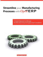 Streamline Your Manufacturing Processes with Openerp - Paperback