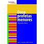 Los Doce Profetas Menores: The Twelve Minor Prophets - Paperback