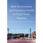 Built Environment and Population Health in Small-Town America: Learning from Small Cities of Kansas - Hardcover