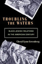 Troubling the Waters: Black-Jewish Relations in the American Century - Paperback