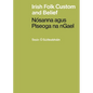 Irish Folk Custom and Belief: Nósanna agus Piseoga na nGael - Paperback