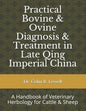 Practical Bovine & Ovine Diagnosis & Treatment in Late Qing Imperial China: A Handbook of Veterinary Herbology for Cattle & Sheep - Paperback