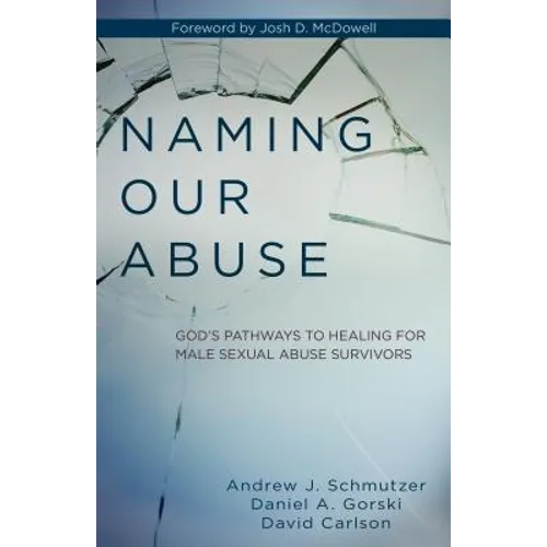 Naming Our Abuse: God's Pathways to Healing for Male Sexual Abuse Survivors - Paperback