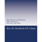 The Book of Hebrews Declassified: Lifting the Veil - Paperback