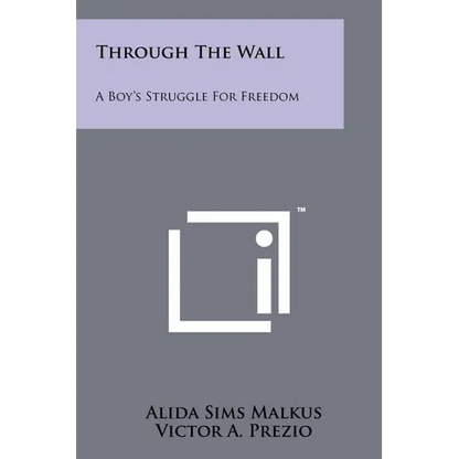 Through the Wall: A Boy's Struggle for Freedom - Paperback