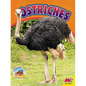 Ostriches - Library Binding