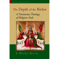 The Depth of the Riches: A Trinitarian Theology of Religious Ends - Paperback