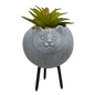 Faux Light Green Succulent In Planter - Cat