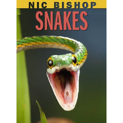 Nic Bishop: Snakes - Hardcover