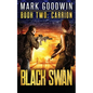 Carrion: A Novel of America's Coming Financial Nightmare - Paperback