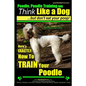 Poodle, Poodle Training AAA AKC: Think Like a Dog, But Don't Eat Your Poop! Poodle Breed Expert Dog Training: Here's EXACTLY How To TRAIN Your Poodle - Paperback
