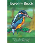 Jewel of the Brook: The Kingfisher's Tale - Paperback