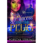 Princess & the Plug: A Complete Novel - Paperback