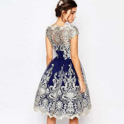 Elegant Lace Retro Mesh Dress