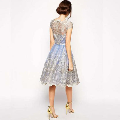 Elegant Lace Retro Mesh Dress