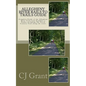 Allegheny River Rails to Trails Guide: Allegheny River Trail from Franklin to Parker - Paperback