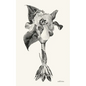 wild irises - Paperback