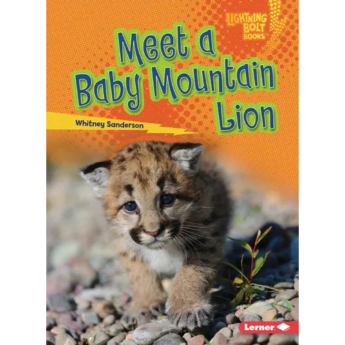 Meet a Baby Mountain Lion - Paperback