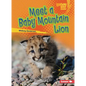 Meet a Baby Mountain Lion - Paperback